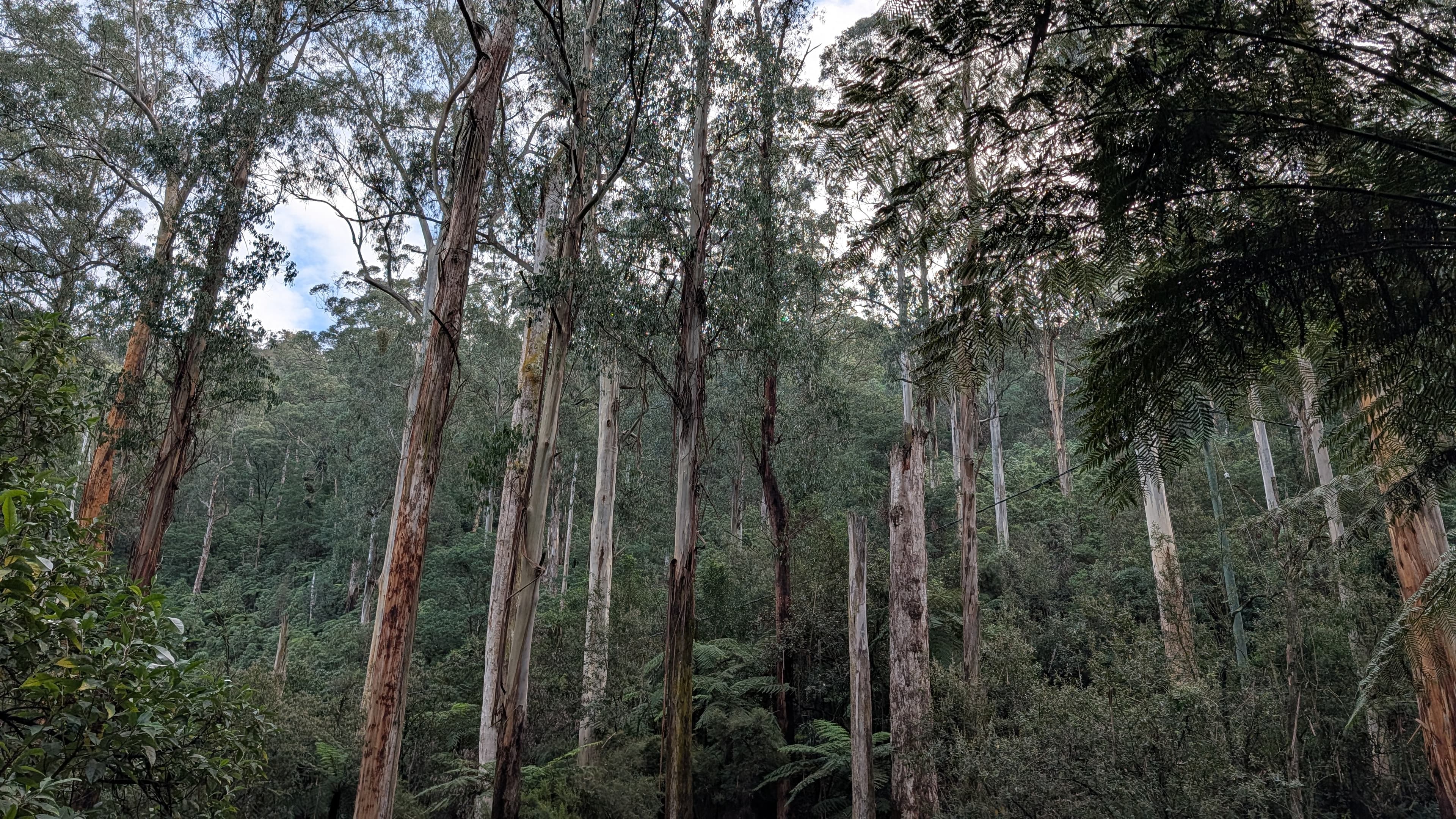 Species-specific offset habitat